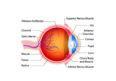 uveitis_clinic